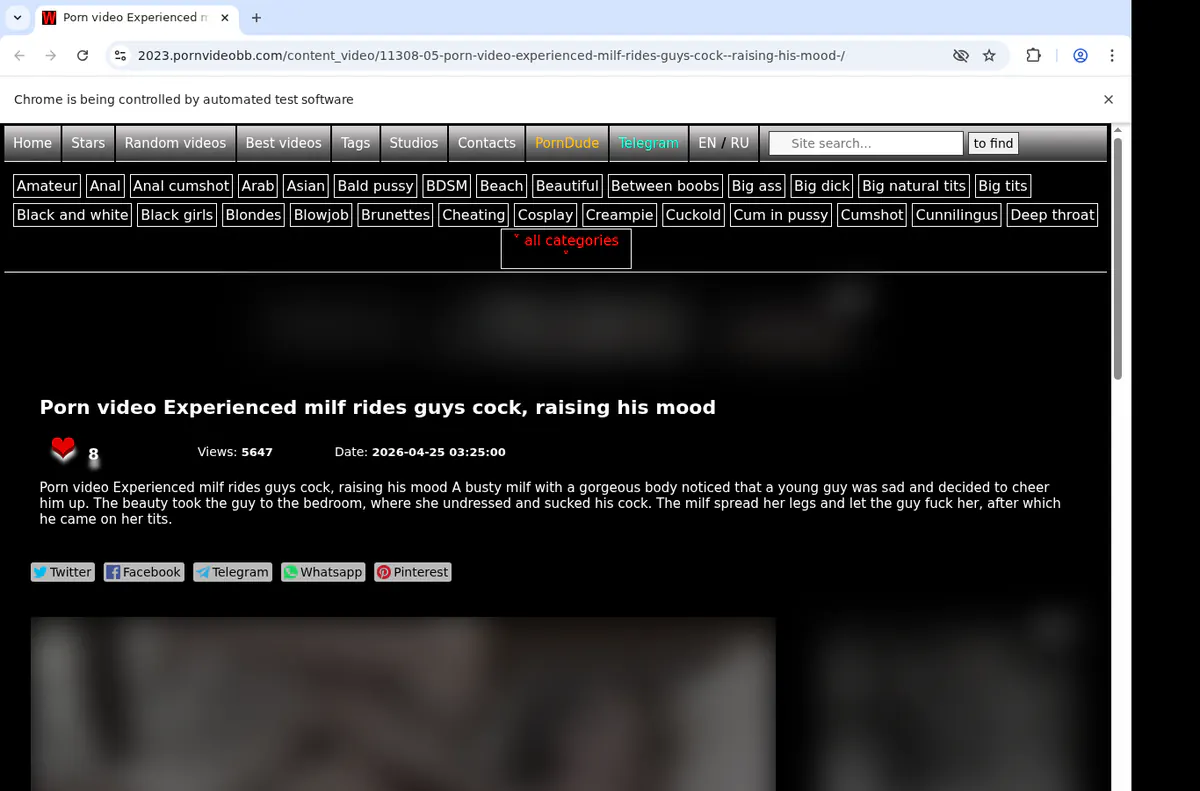 Pornvideobb Video Downloader screenshot 2