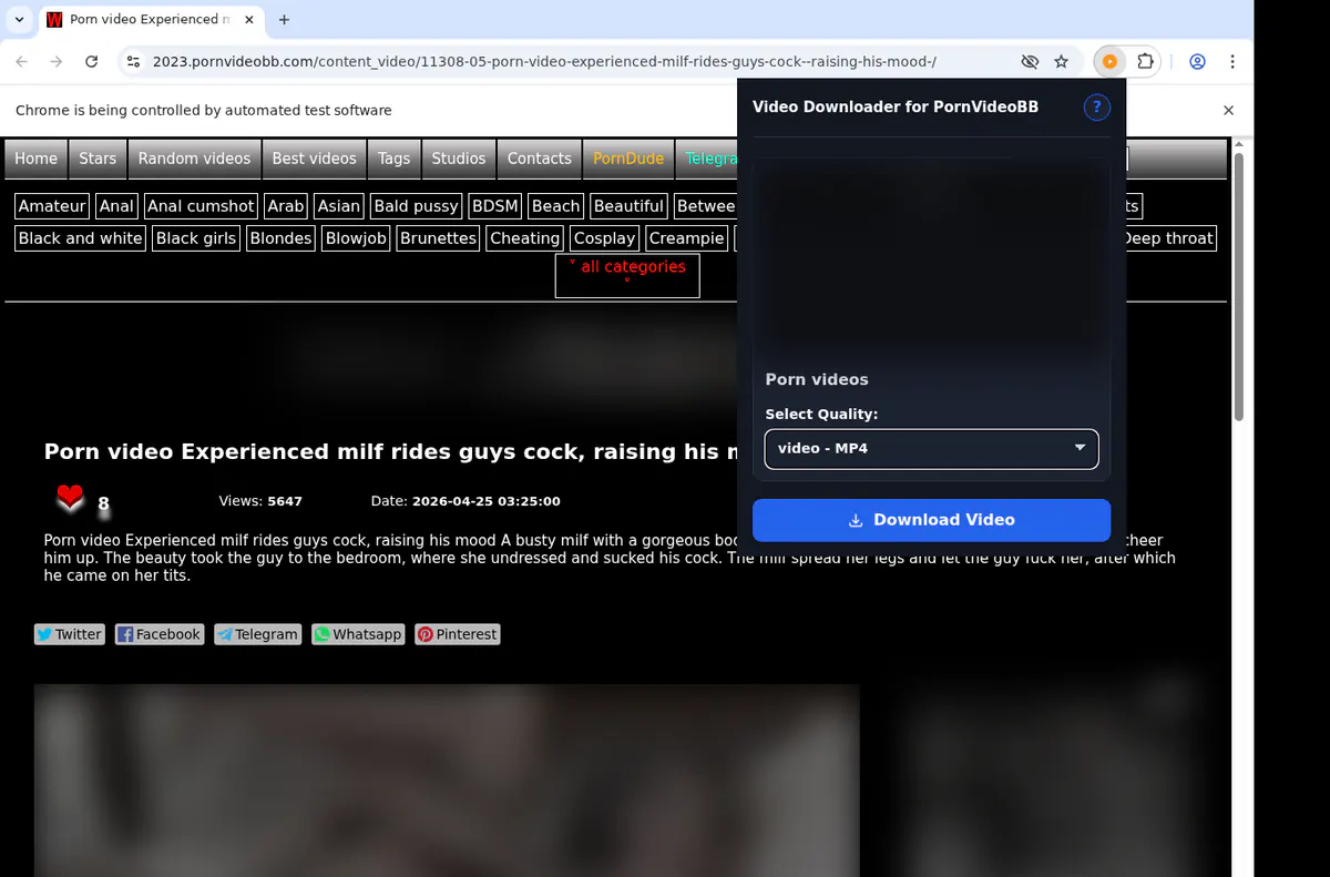 Pornvideobb Video Downloader screenshot 3