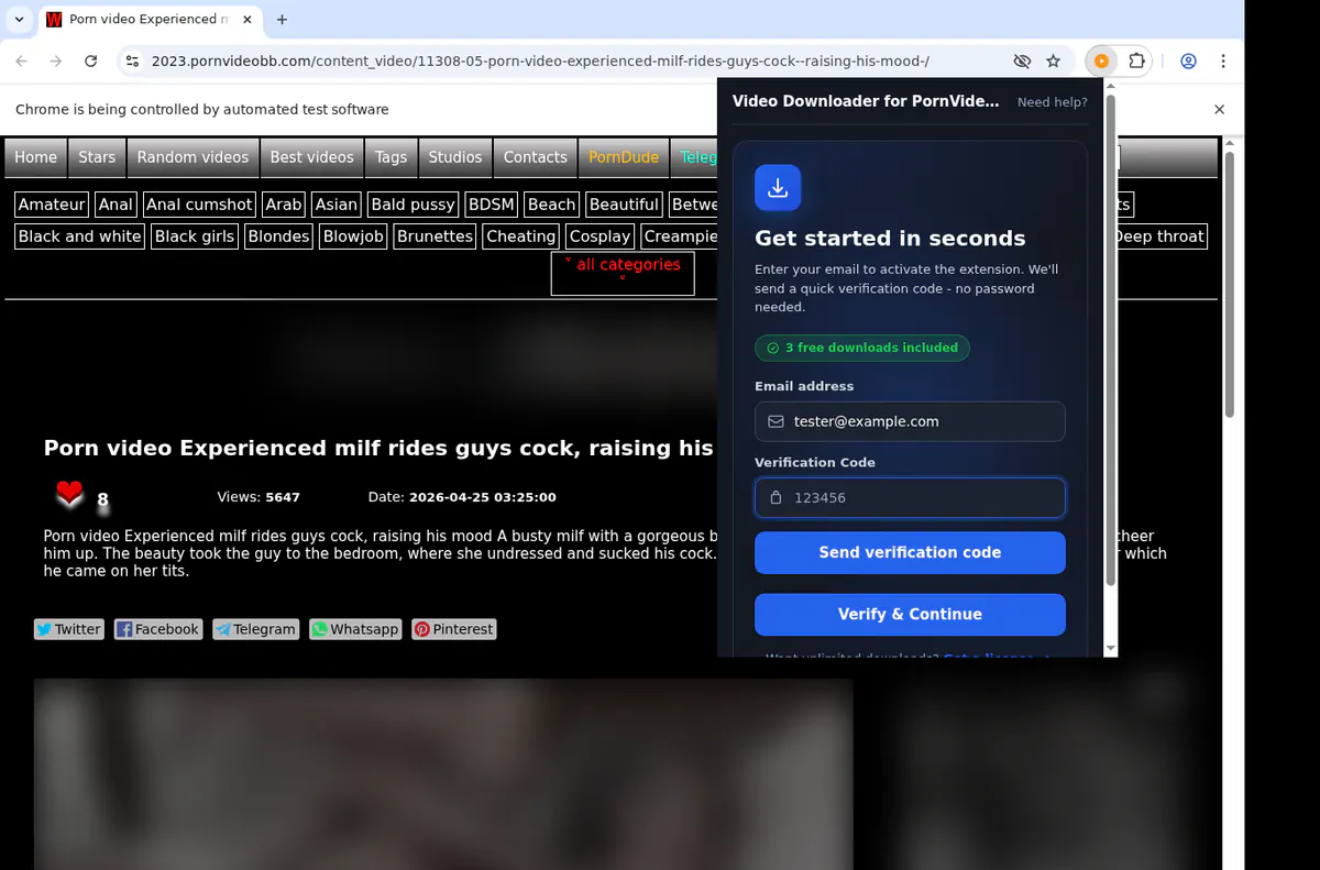 Pornvideobb Video Downloader screenshot 4